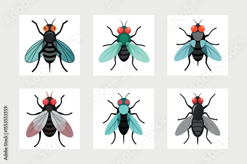  Fly logo icon vector illustration.
