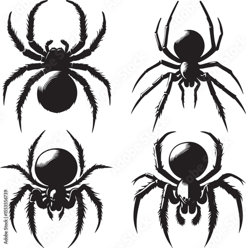Spider text icon silhouette vector with white background