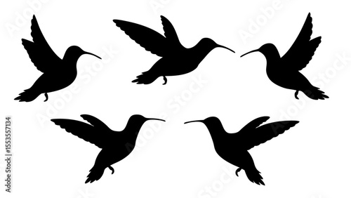 humming bird silhouette vector illustration on tranparent background