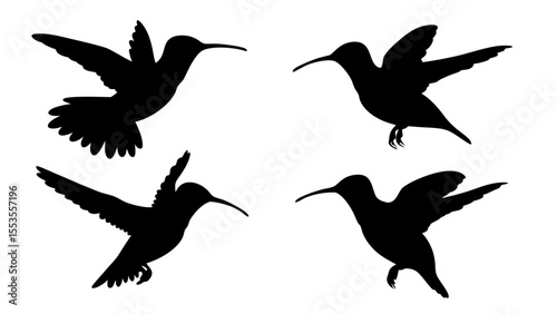 humming bird silhouette vector illustration on tranparent background