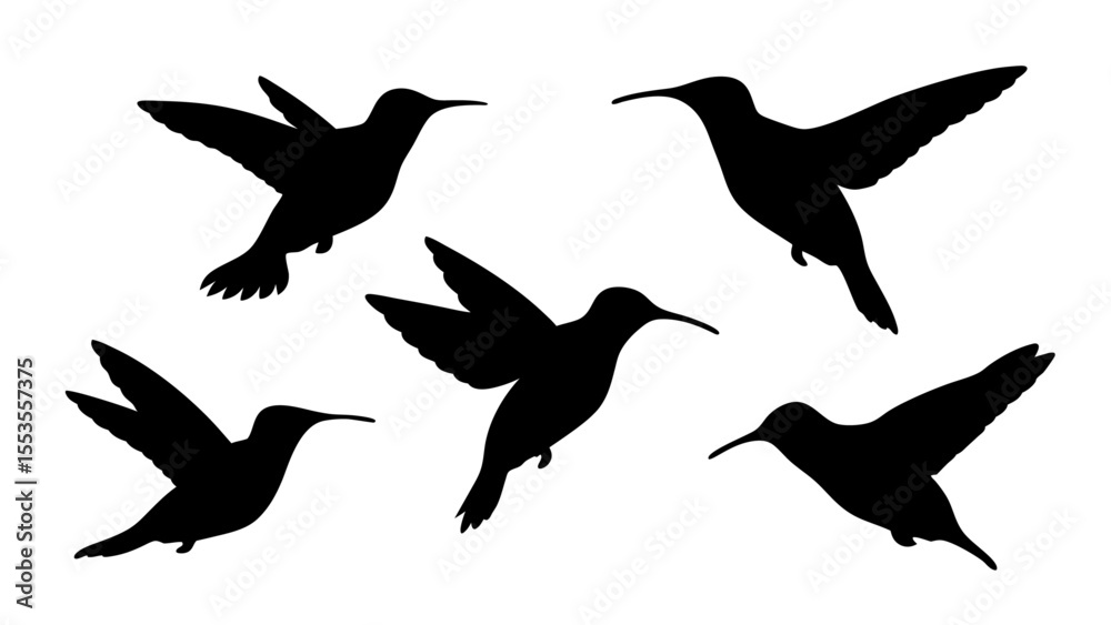 Fototapeta humming bird silhouette vector illustration on tranparent background