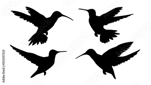 humming bird silhouette vector illustration on tranparent background