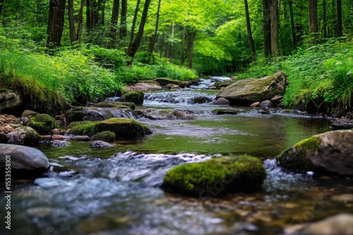 Brook in dense forest with flowing water