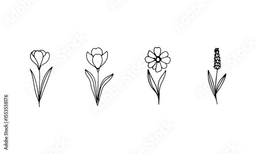 A group of three floral designs with different shapes and flowing stems, great for botanical prints and organic layouts.