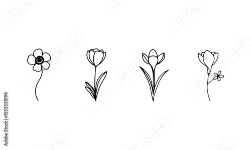 A group of three floral designs with different shapes and flowing stems, great for botanical prints and organic layouts.