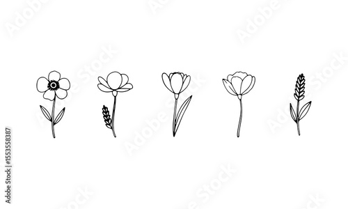 Curved Botanical Sprays. A balanced floral design with upright blooms and leafy stems, offering a clean organic structure for natural-themed visuals.