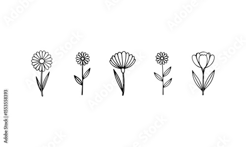 Fine Line Flower Row. A graceful set of linear botanical flowers with round shapes and varied petals, ideal for textile patterns and branding design.