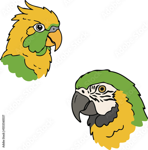 Yellow-Headed Parrot and Blue-and-yellow Macaw Portraits