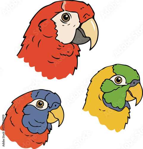 Vibrant Parrot Portraits: Scarlet Macaw, Blue-and-yellow Macaw, and Yellow-chevroned Parakeet