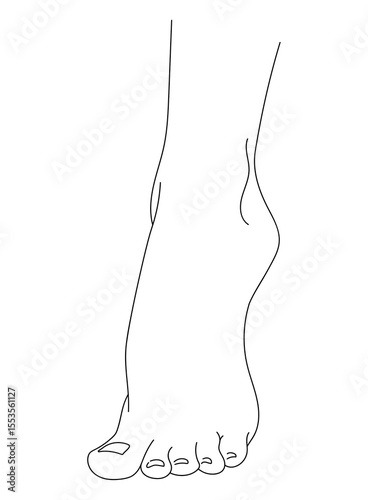 black and white line drawing of a female foot. Illustration isolated on white background