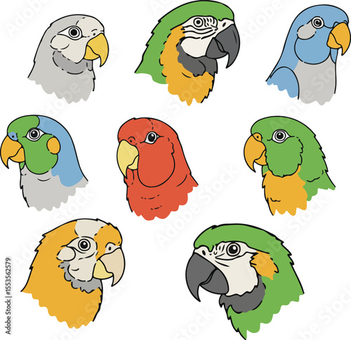 Nine Parrot Head Portraits: A Colorful Collection