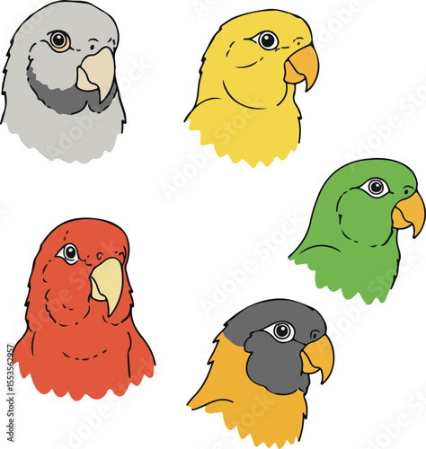 Colorful Parrot Portraits: A Collection of Bird Illustrations