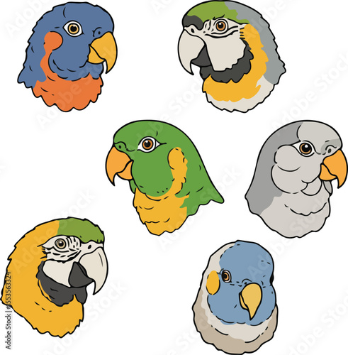 Colorful Parrot Heads: A Collection of Avian Portraits