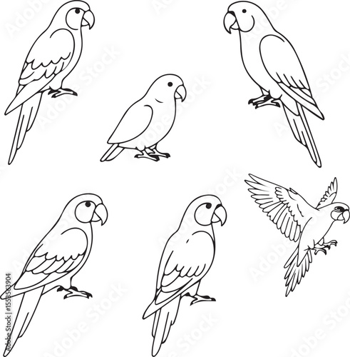 Parrot Line Art: Six Detailed Illustrations for Artists