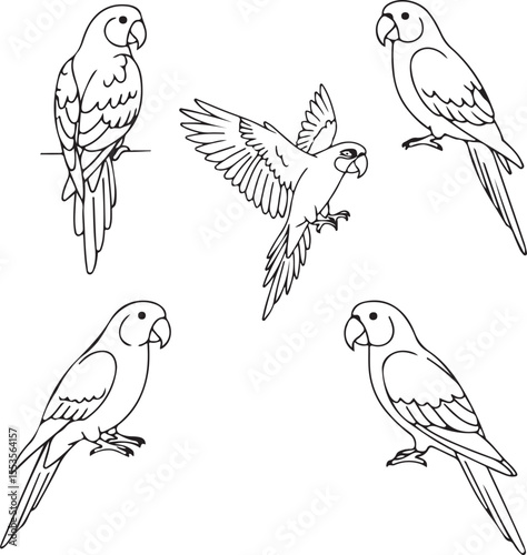 Parrot Line Art: Five Elegant Bird Illustrations for Design Projects