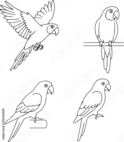 Elegant Line Art Parrot Illustrations: Four Poses