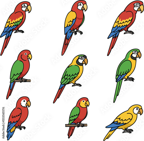 Vibrant Macaw & Parrot Collection: Colorful Bird Illustrations