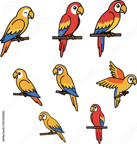Colorful Parrot Illustrations: A Collection of Eight Avian Designs