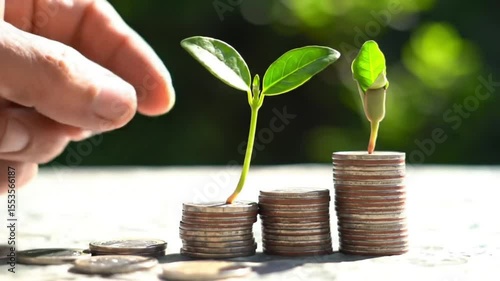 Money Growth Concept Hand Stacking Coins with Seedlings, Financial Investment, Sustainable Business