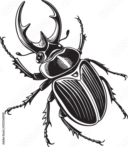 Rhinoceros beetle Vector Illustration, Sketch Drawing Line Linear Symbol Icon Engraving Coloring Book, Hand-drawn Black and White Isolated