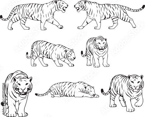 Tiger Sketches: Six Detailed Line Drawings of Tigers in Various Poses for Artists and Designers