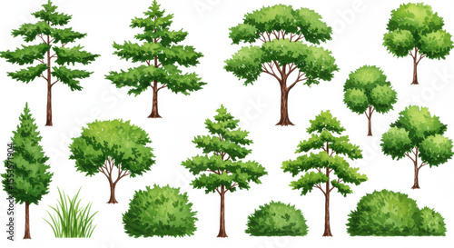 Collection of trees and shrubs illustrations