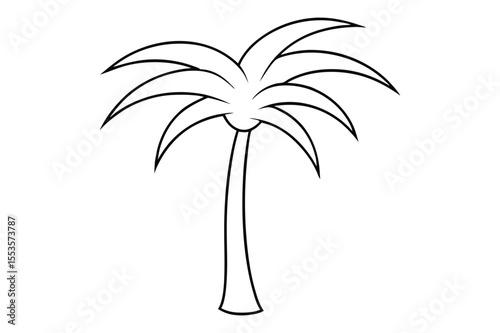 palm tree Line art vector