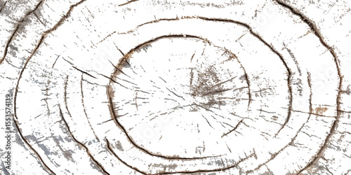 Wood grunge texture transparent white background. Abstract wood grunge distressed texture background.  vector weathered wooden plank board featuring natural textures and grooves, ideal for background.