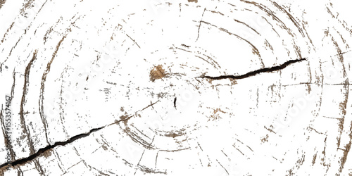 Wood grunge texture transparent white background. Abstract wood grunge distressed texture background.  vector weathered wooden plank board featuring natural textures and grooves, ideal for background.