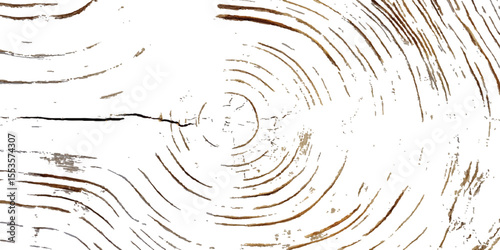 Wood grunge texture transparent white background. Abstract wood grunge distressed texture background.  vector weathered wooden plank board featuring natural textures and grooves, ideal for background.