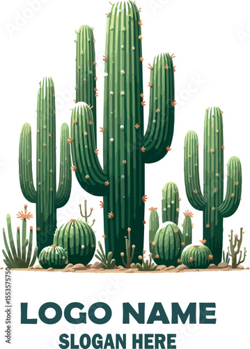 Saguaro cactus plant vector white background .