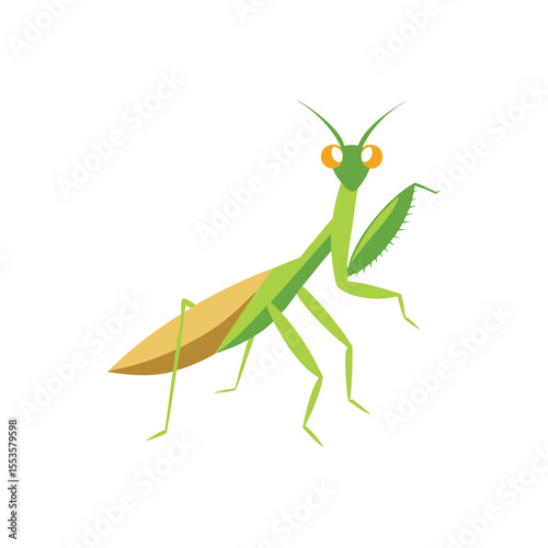 Praying mantis with detailed body view Vector illustration