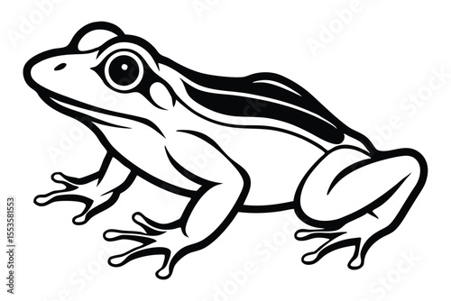 Striking black and white outline of a stylized frog showcases its anatomy