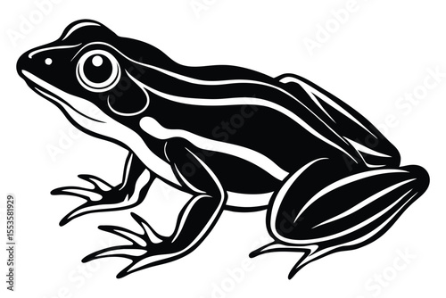 Elegant frog illustration showcases bold navy lines with distinctive red highlights adding dimension