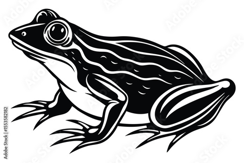 Simple black outline reveals a frog standing still, ready to hop away