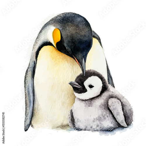 A Mother Penguin With Her Kid, watercolor painting vector, isolated on a white background.