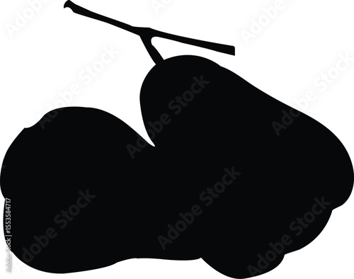 Silhouette of a cluster of guava fruits on a branch silhouette