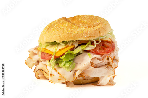 A Turkey and Cheese sandwich on a white background