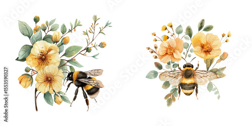 bee floral watercolor vector illustration