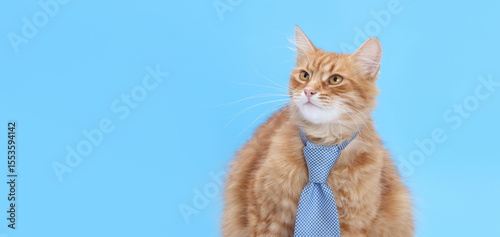 Funny cat wearing tie on solid blue. Ideal for themes like education, remote work, business career, or student life. Cat looking up with curious expression.
