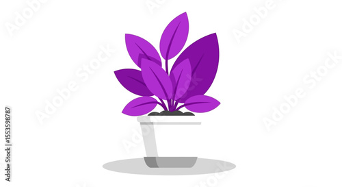 Purple plant with broad leaves in a white pot, minimalist illustration on a white background.