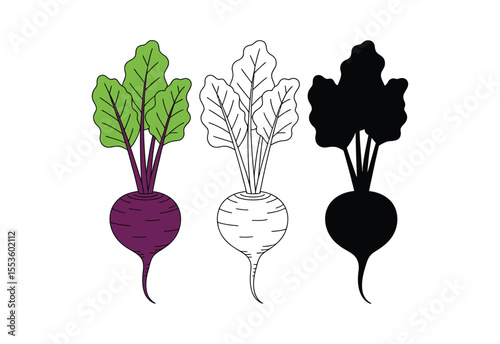 Three stylized beet vegetables shown in color outline and silhouette on white background