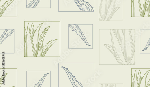 Aloe vera seamless pattern. Gentle packaging background. Natural cosmetics ingredient. Hand drawn ink sketch plant from package design. Ecology concept in beauty industry.