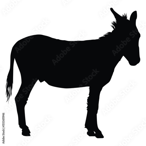  black donkey sillouette vector isloated on a white background
