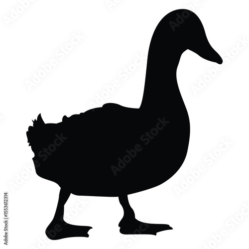 black duck sit sillouette vector isloated on a white background