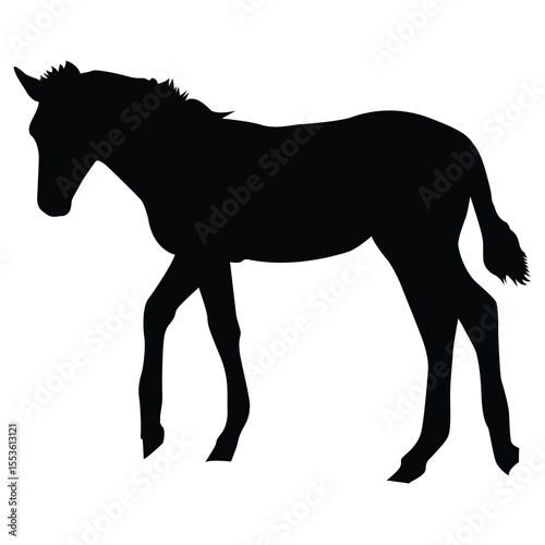 black house sit sillouette vector isloated on a white background