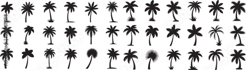 Palm Tree Silhouette Collection A Tropical Vector Set of Various Palm Tree Shapes and Sizes on Black Background for Exotic Designs and Summer-Themed Projects