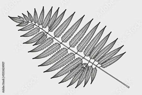 Detailed Fern Frond Illustration-Botanical Art Print-Elegant Gray and White Fern Drawing-Nature Inspired Wall Decor-Fern Leaf Close Up-Minimalist Design