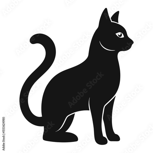 black and white cat