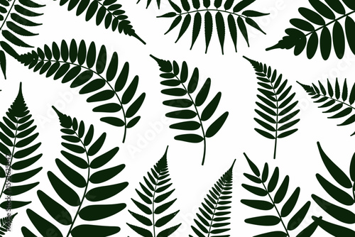 Fern Frond Illustration-Botanical Pattern with Fern Leaves-Nature Inspired Background for Design Projects-Minimalist Green and White Art-Plant Design Elements